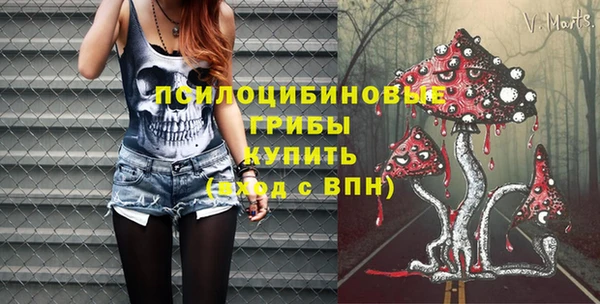 дживик Снежинск