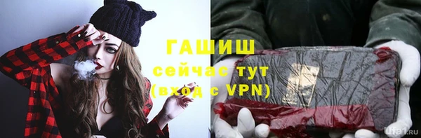прущие грибы Вязьма
