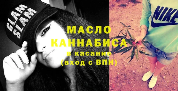 амф Верхний Тагил