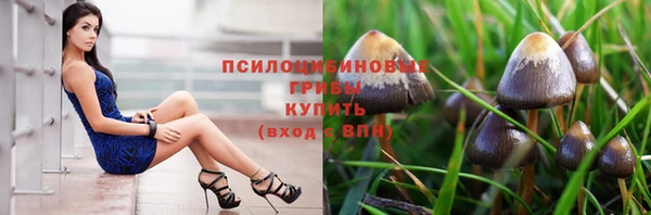 амф Верхний Тагил