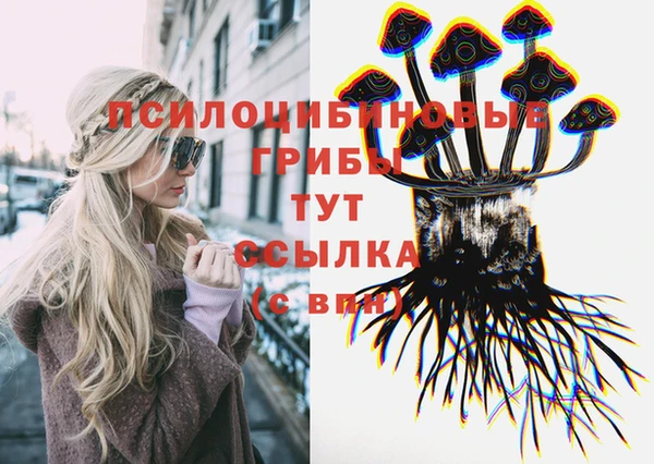 амф Верхний Тагил