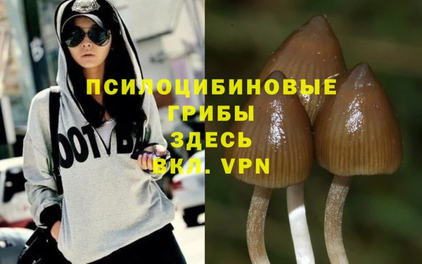 амф Верхний Тагил