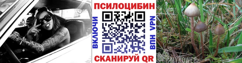 Галлюциногенные грибы мухоморы купить Конаково